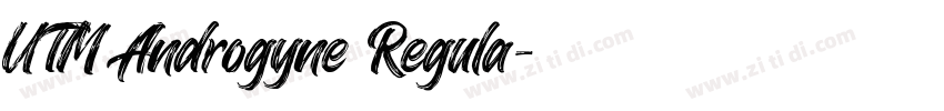UTM Androgyne Regula字体转换